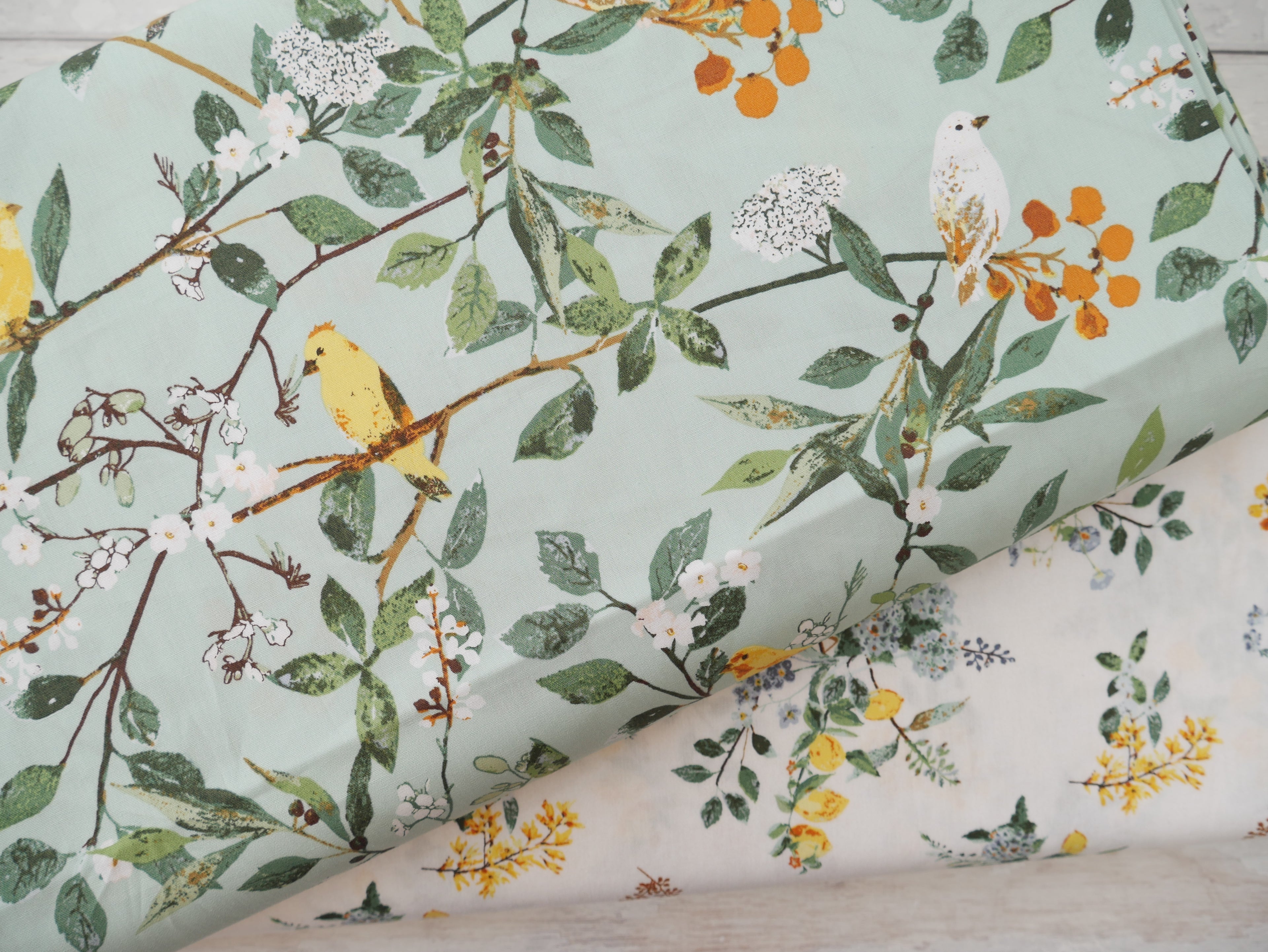 Art Gallery Fabrics Melodic Plumage from Plentiful by Katarina Roccella-Cotton Fabric-Flying Bobbins Haberdashery