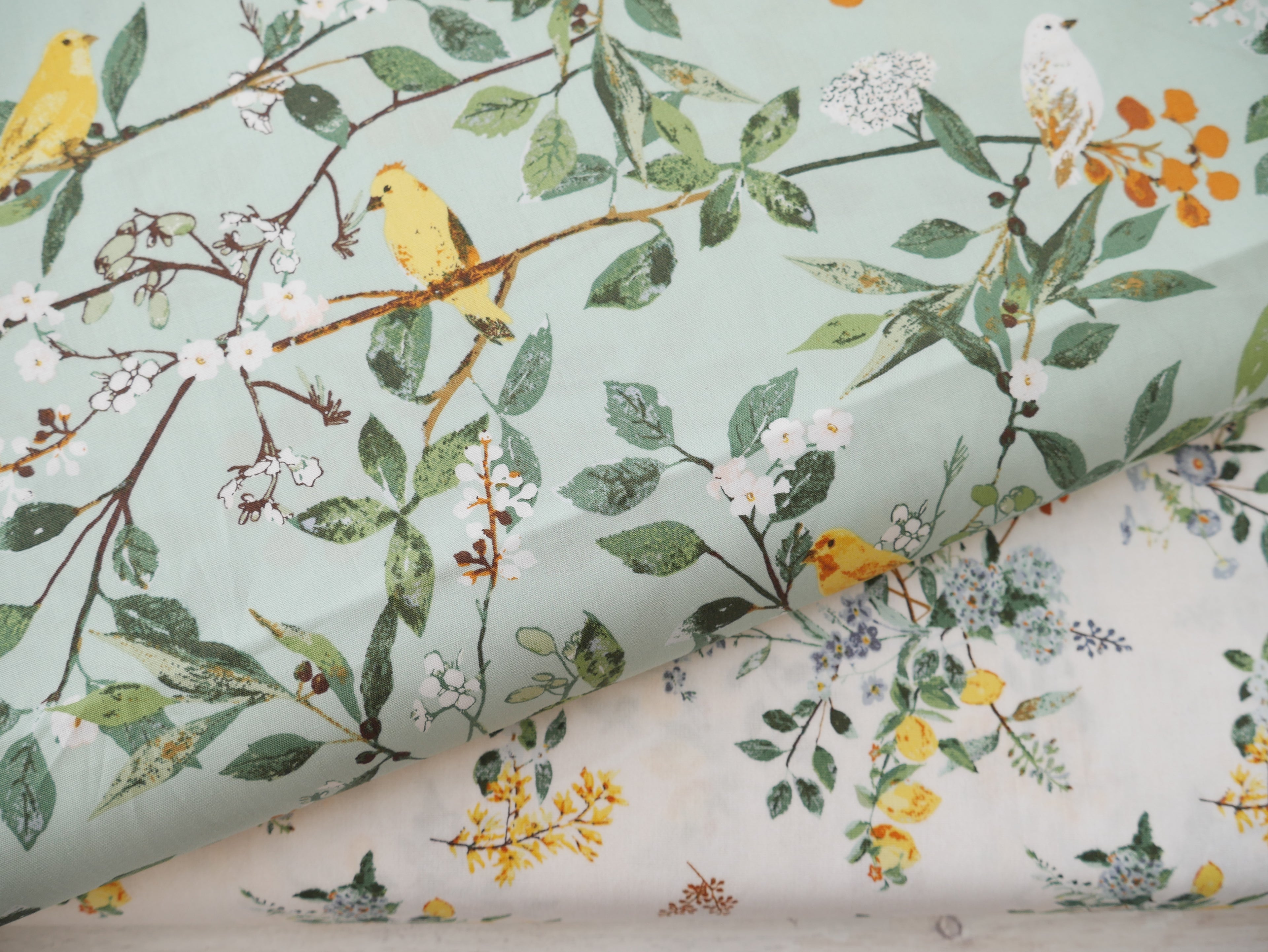 Art Gallery Fabrics Melodic Plumage from Plentiful by Katarina Roccella-Cotton Fabric-Flying Bobbins Haberdashery