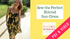 Flying Bobbins Shirred Sun-Dress Video Course & PDF-Video Tutorial-Flying Bobbins Haberdashery