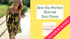 Flying Bobbins Shirred Sun-Dress Video Course & Pattern Kit-Flying Bobbins Haberdashery