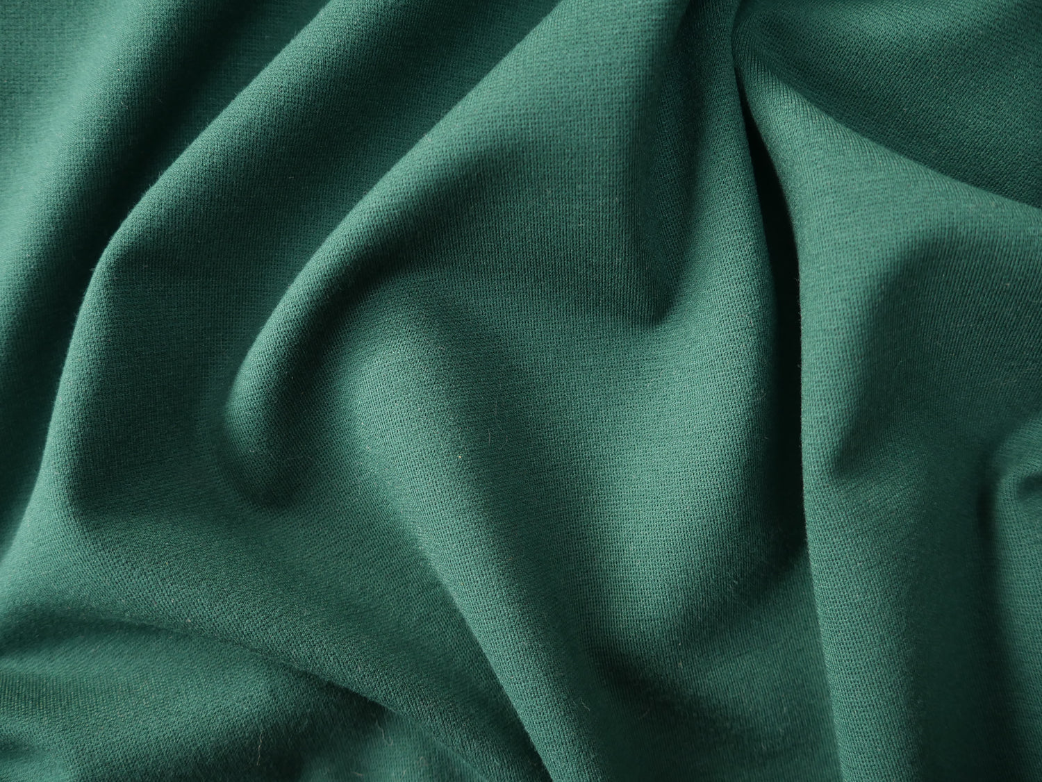 Ponte Roma in Forest-Knitted Fabric-Flying Bobbins Haberdashery