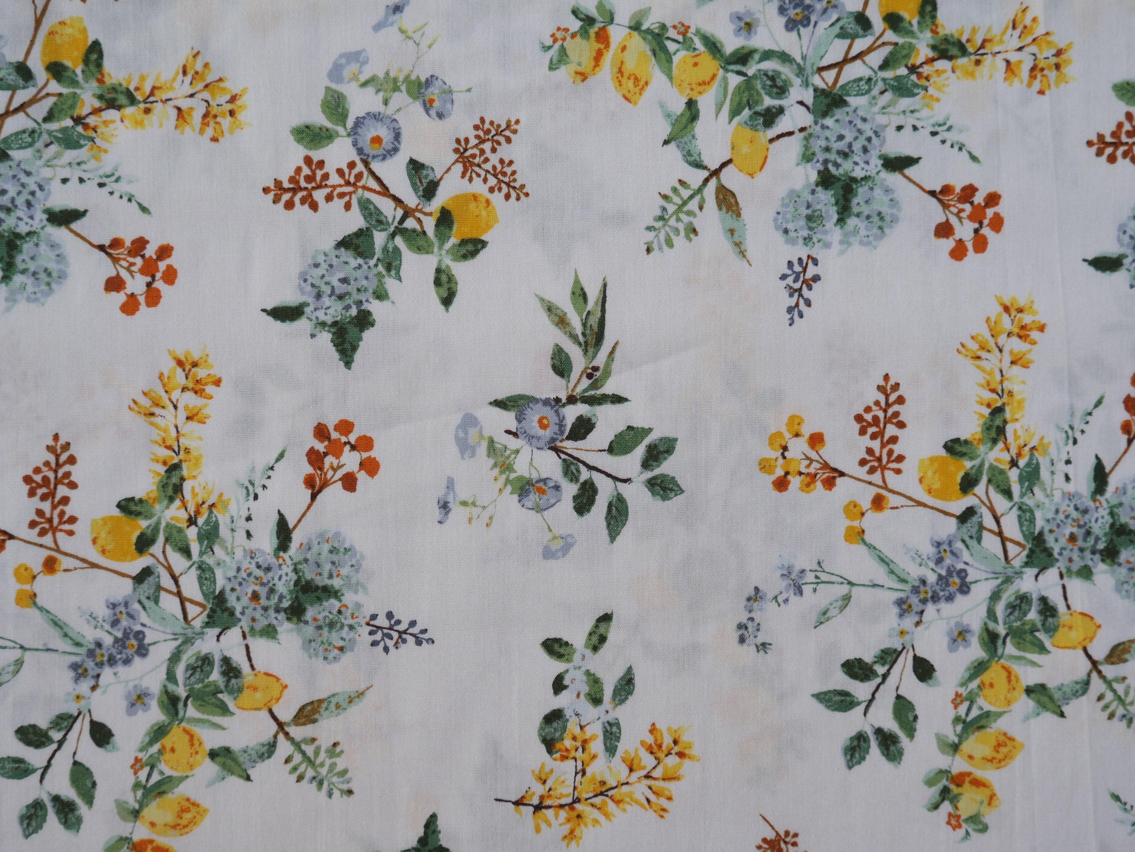 Art Gallery Fabrics Citrus Harmony from Plentiful by Katarina Roccella-Cotton Fabric-Flying Bobbins Haberdashery