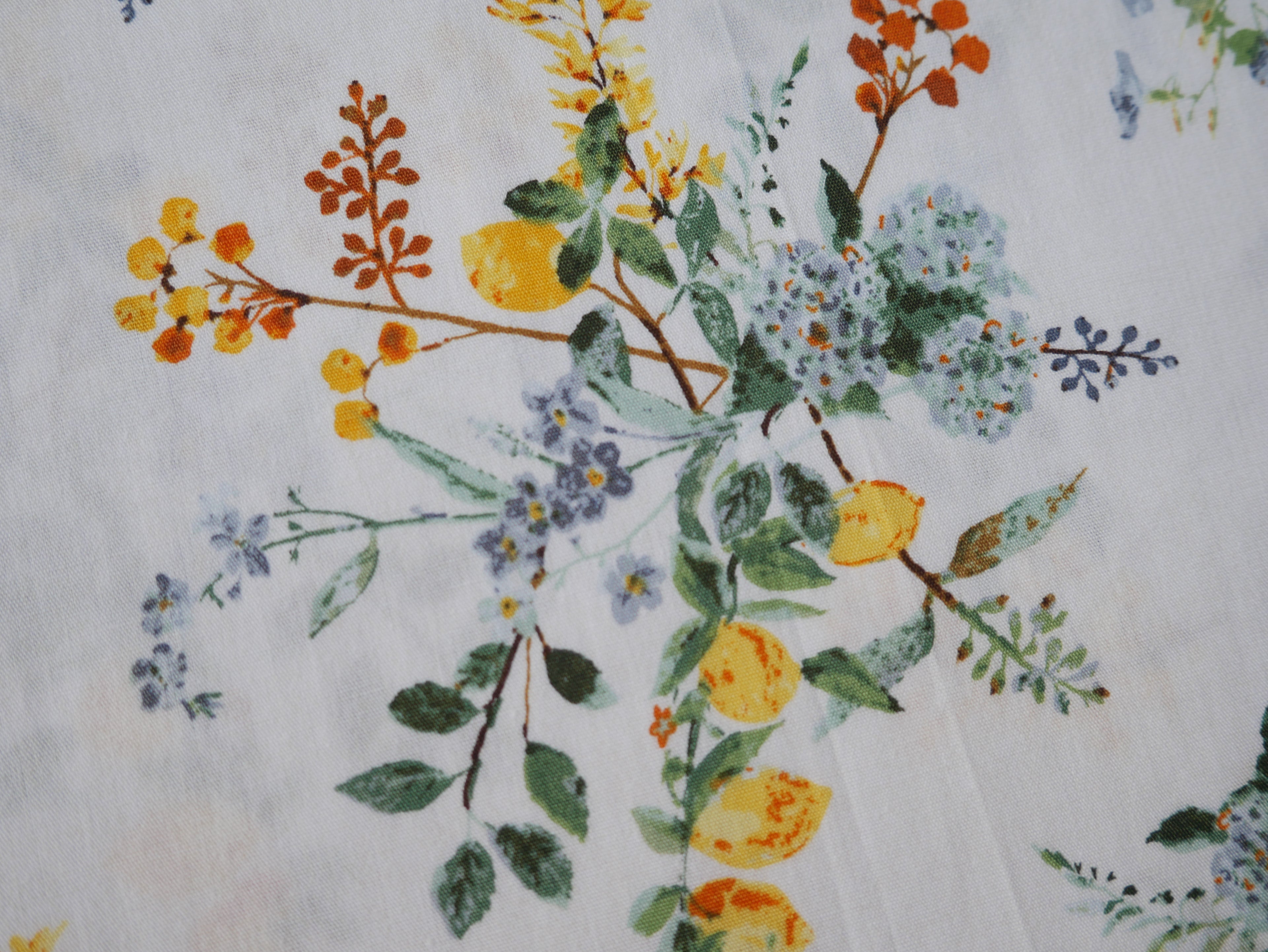 Art Gallery Fabrics Citrus Harmony from Plentiful by Katarina Roccella-Cotton Fabric-Flying Bobbins Haberdashery