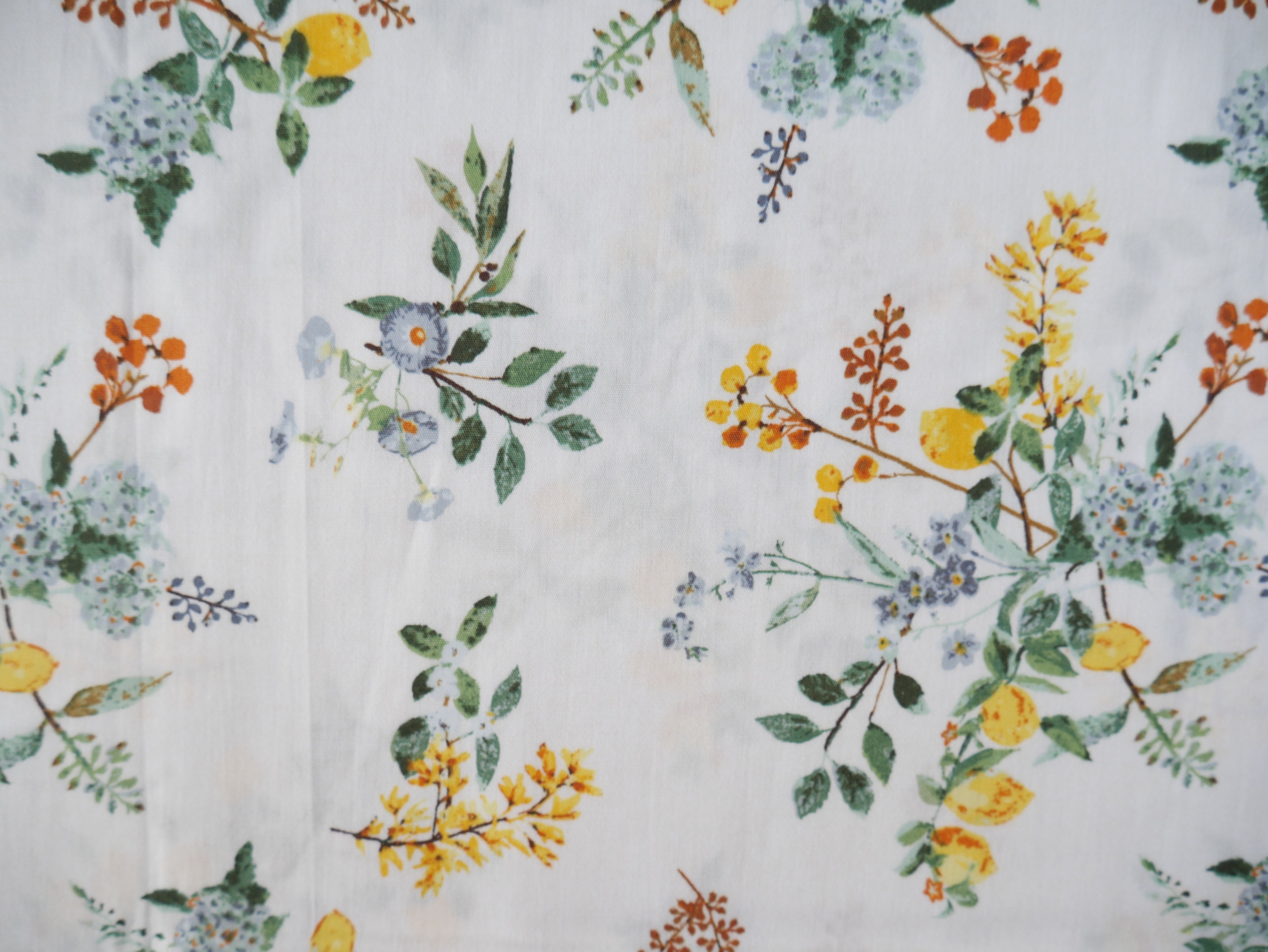 Art Gallery Fabrics Citrus Harmony from Plentiful by Katarina Roccella-Cotton Fabric-Flying Bobbins Haberdashery