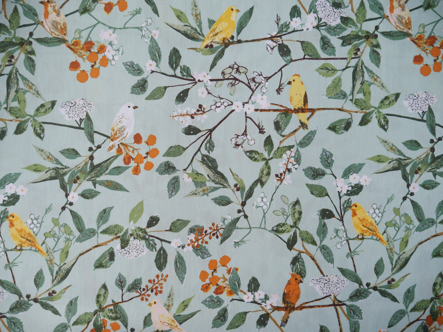 Art Gallery Fabrics Melodic Plumage from Plentiful by Katarina Roccella-Cotton Fabric-Flying Bobbins Haberdashery