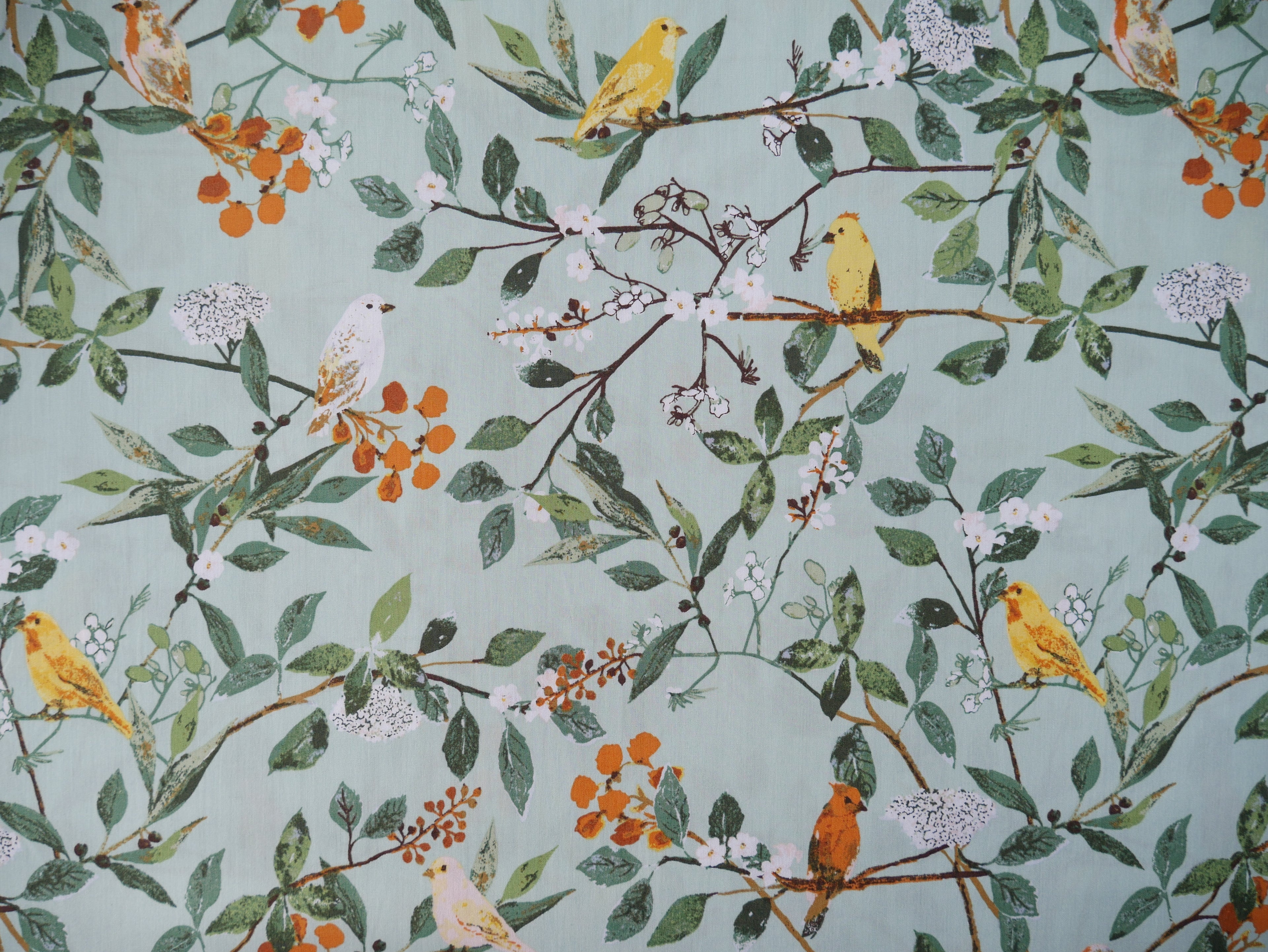 Art Gallery Fabrics Melodic Plumage from Plentiful by Katarina Roccella-Cotton Fabric-Flying Bobbins Haberdashery