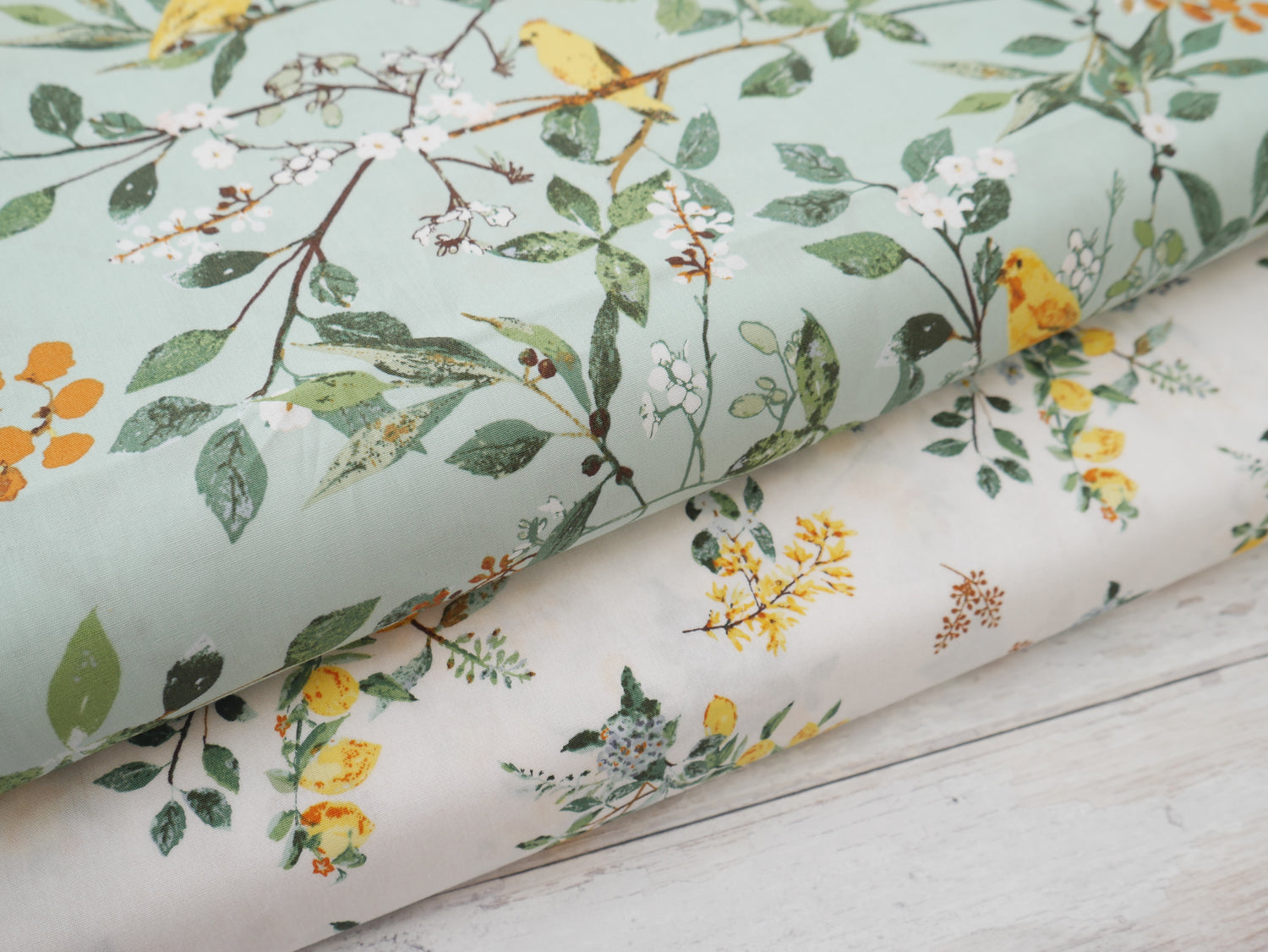 Art Gallery Fabrics Melodic Plumage from Plentiful by Katarina Roccella-Cotton Fabric-Flying Bobbins Haberdashery