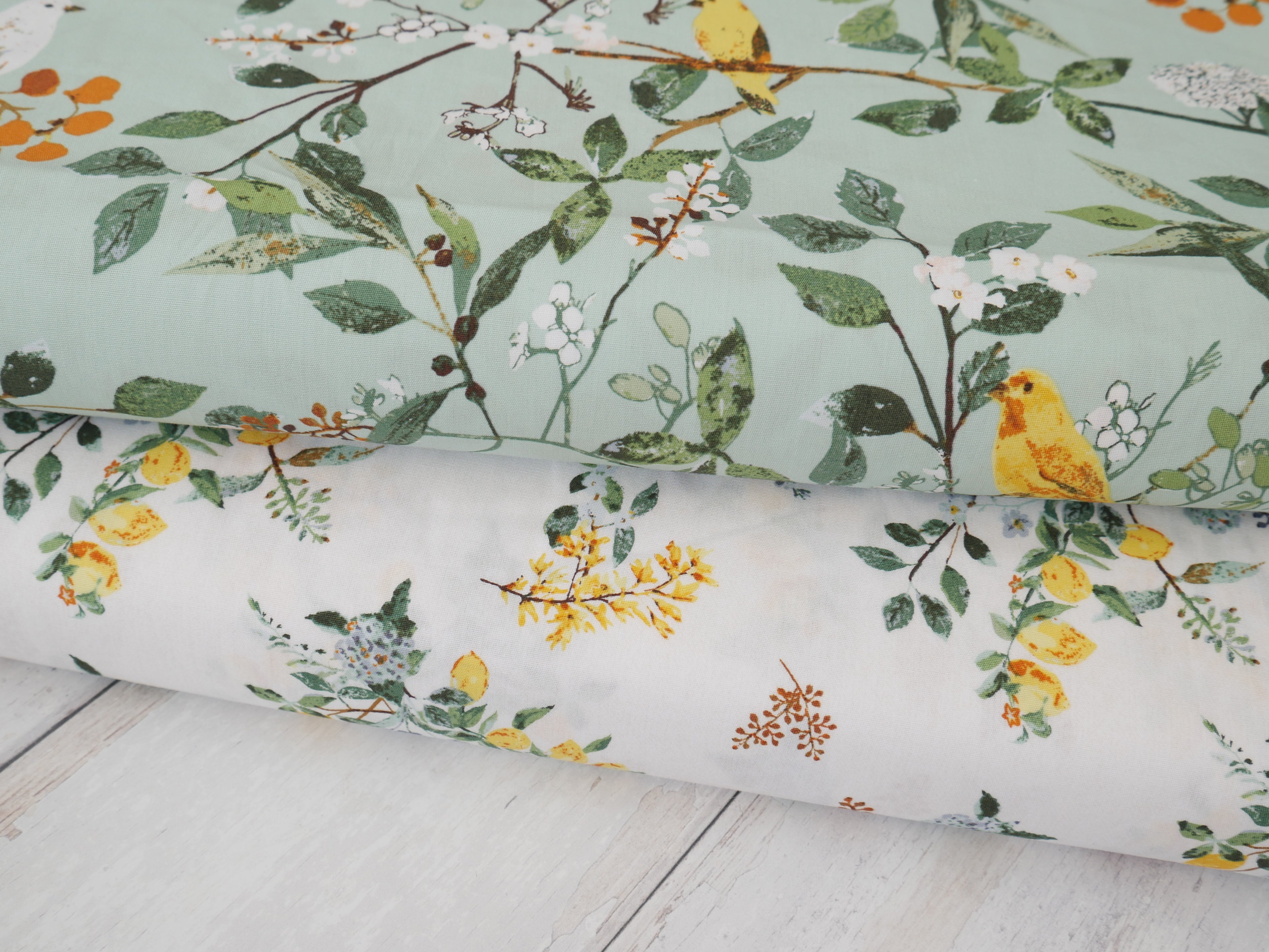 Art Gallery Fabrics Melodic Plumage from Plentiful by Katarina Roccella-Cotton Fabric-Flying Bobbins Haberdashery