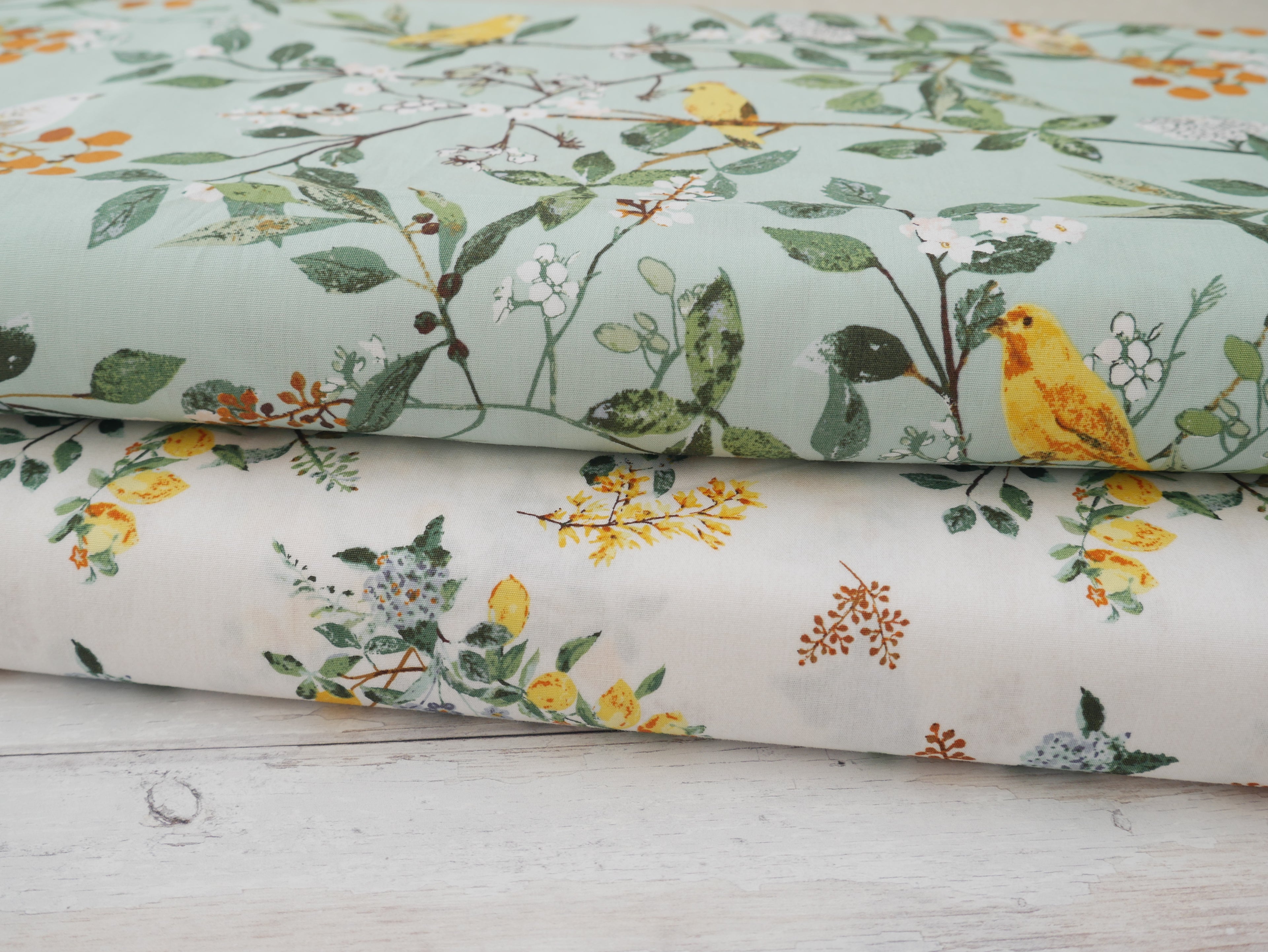 Art Gallery Fabrics Melodic Plumage from Plentiful by Katarina Roccella-Cotton Fabric-Flying Bobbins Haberdashery