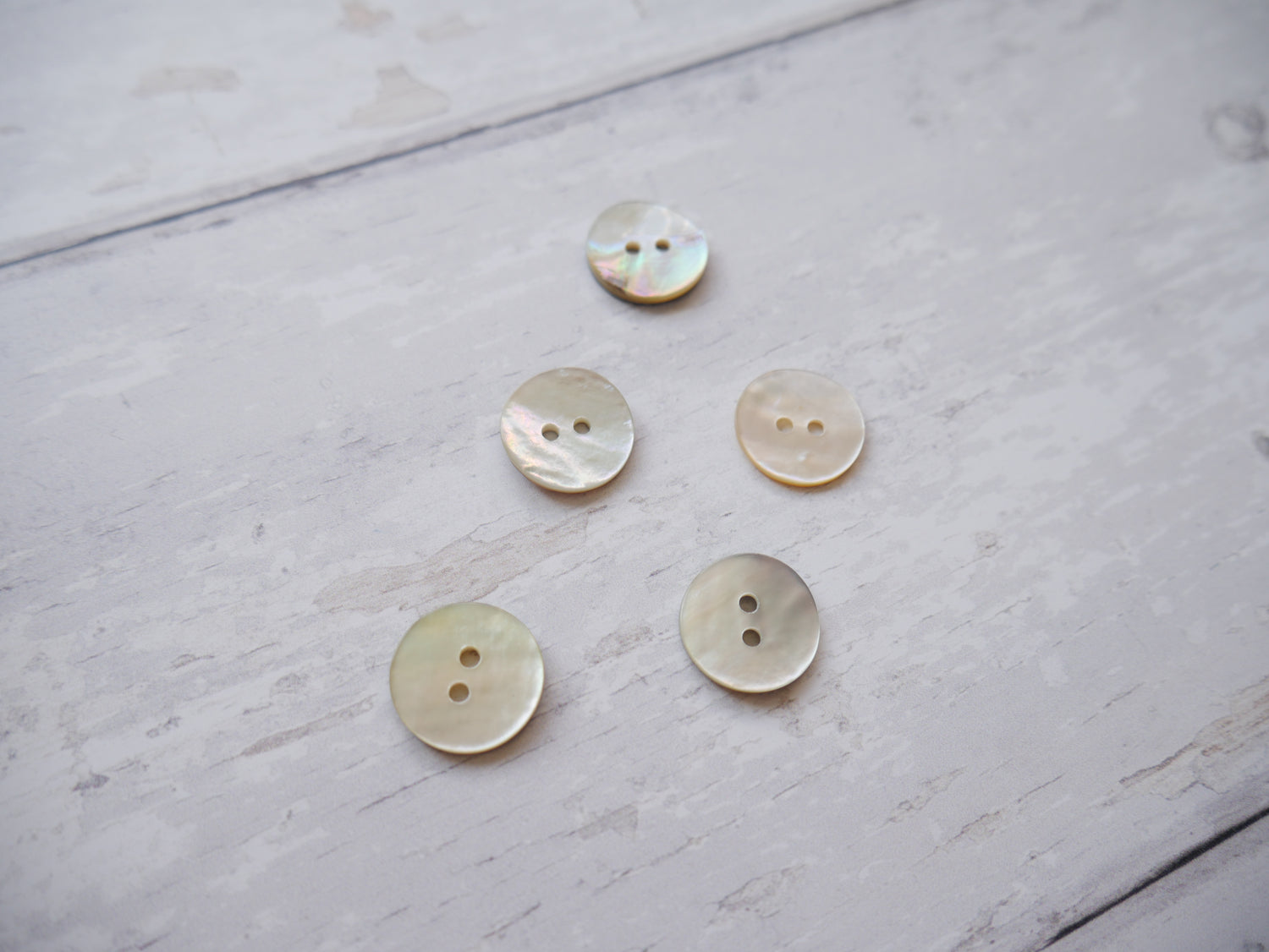 2-Hole Shell Button, 15mm-Buttons-Flying Bobbins Haberdashery