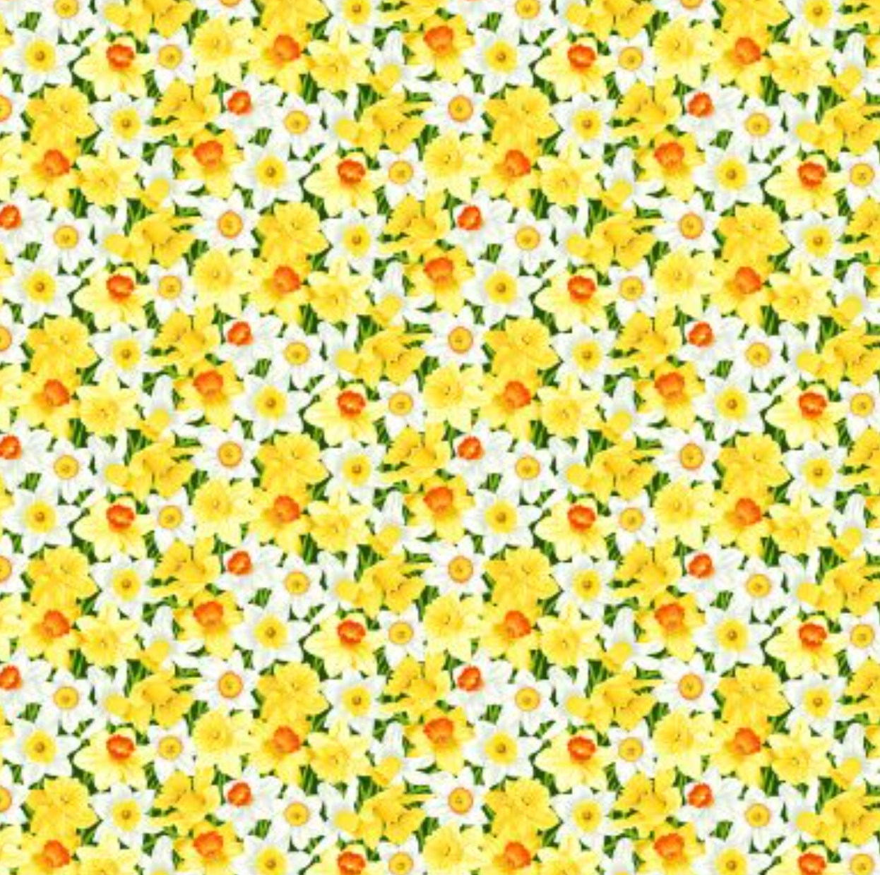 Summer Days Daffodils Printed Cotton £13.80 p/m-Cotton-Flying Bobbins Haberdashery